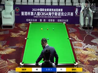 斯诺克 刘宏宇4-2雷佩凡 20230517(李照)